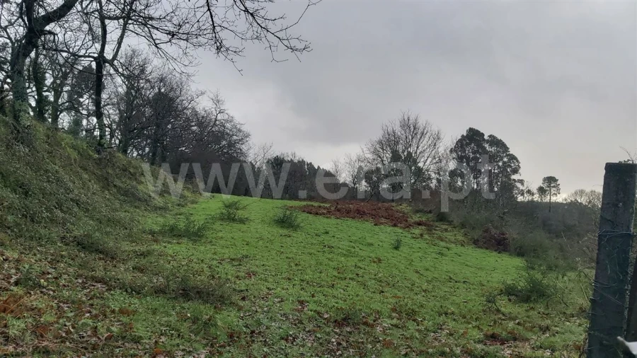 Terreno para Venda em Serzedelo Foto 3