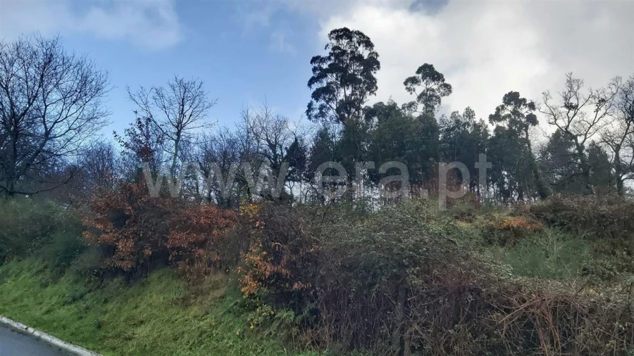 Terreno para Venda em Serzedelo Foto 5