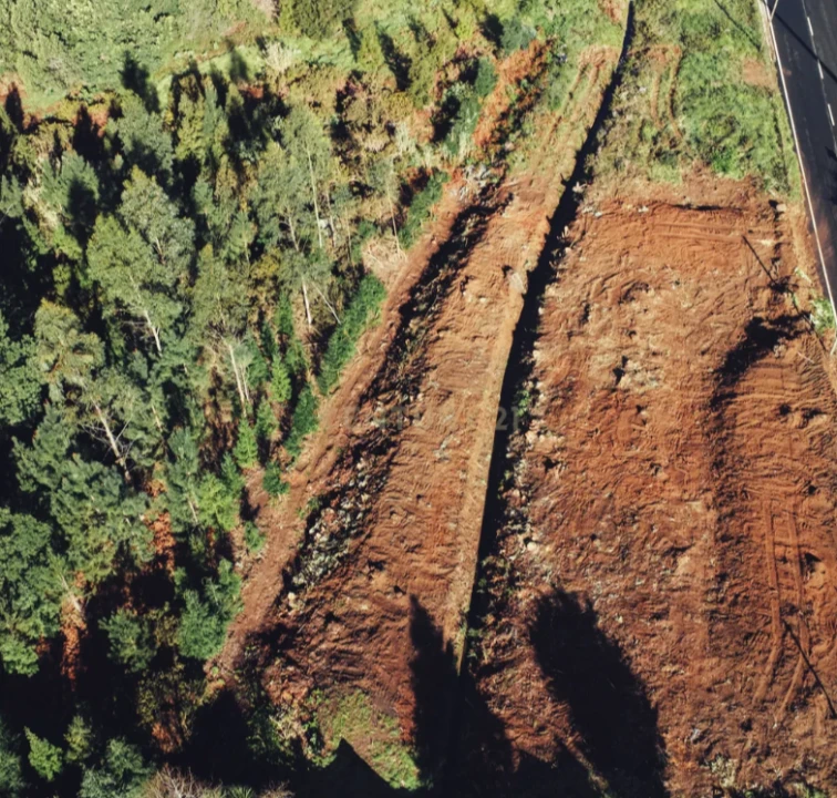 Terreno P/ Prédio para Venda em Gaula Foto 2