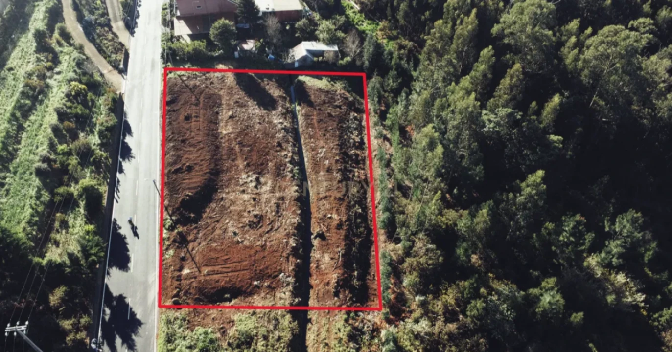 Terreno P/ Prédio para Venda em Gaula Foto 5