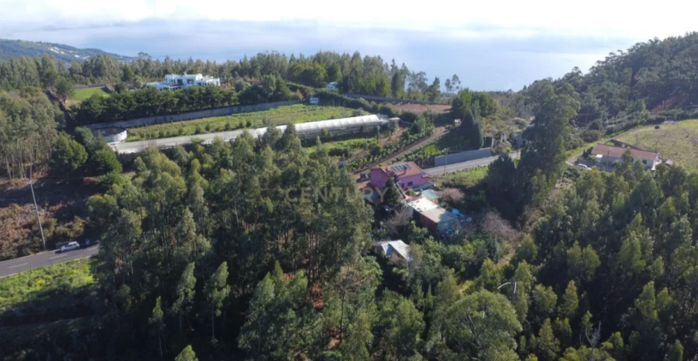 Terreno P/ Prédio para Venda em Gaula Foto 3