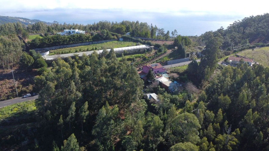 Terreno P/ Prédio para Venda em Gaula Foto 3