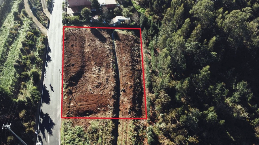 Terreno P/ Prédio para Venda em Gaula Foto 4