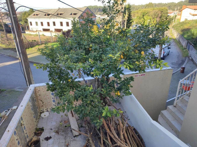 Moradia T7 para Venda em Aveiro Foto 3