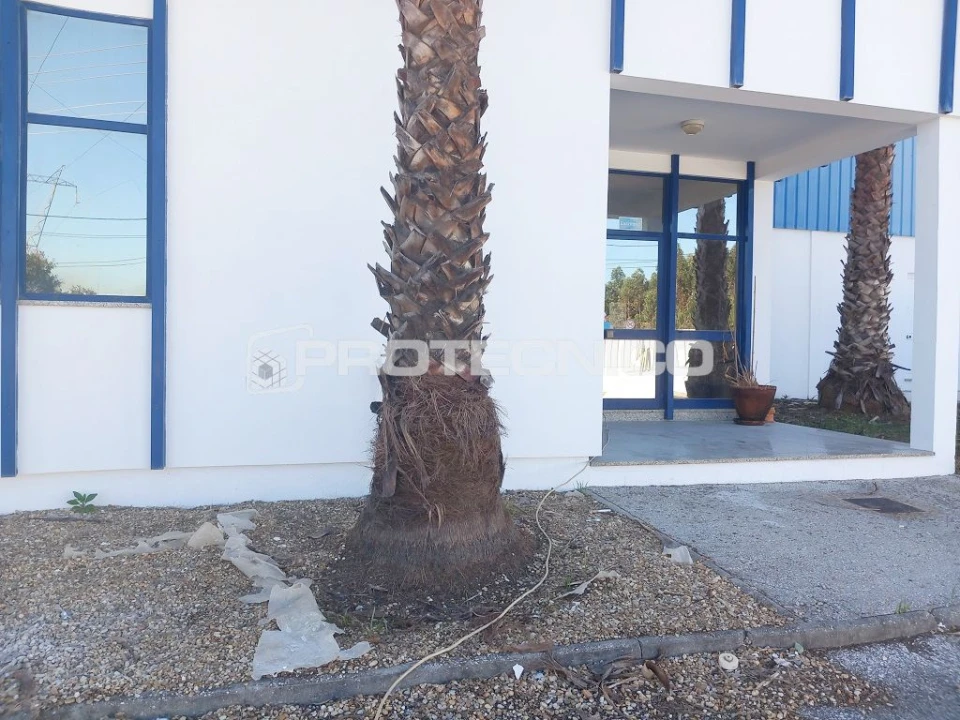 Armazém para Arrendamento em Zona Industrial En 1 Sul Foto 15