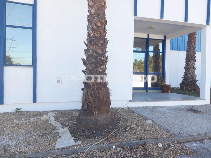 Armazém para Arrendamento em Zona Industrial En 1 Sul Foto 15