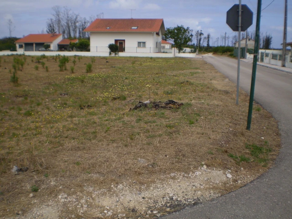 Terreno para Venda em Vieira de Leiria Foto 2
