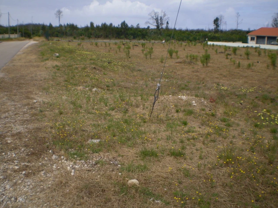 Terreno para Venda em Vieira de Leiria Foto 4