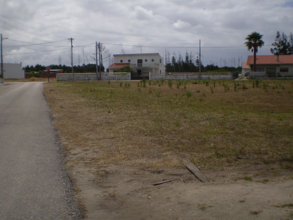 Terreno para Venda em Vieira de Leiria Foto 3