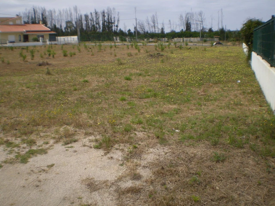 Terreno para Venda em Vieira de Leiria Foto 7