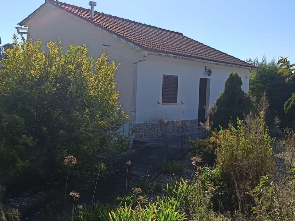 Moradia T2 para Venda em Pelariga Foto 2