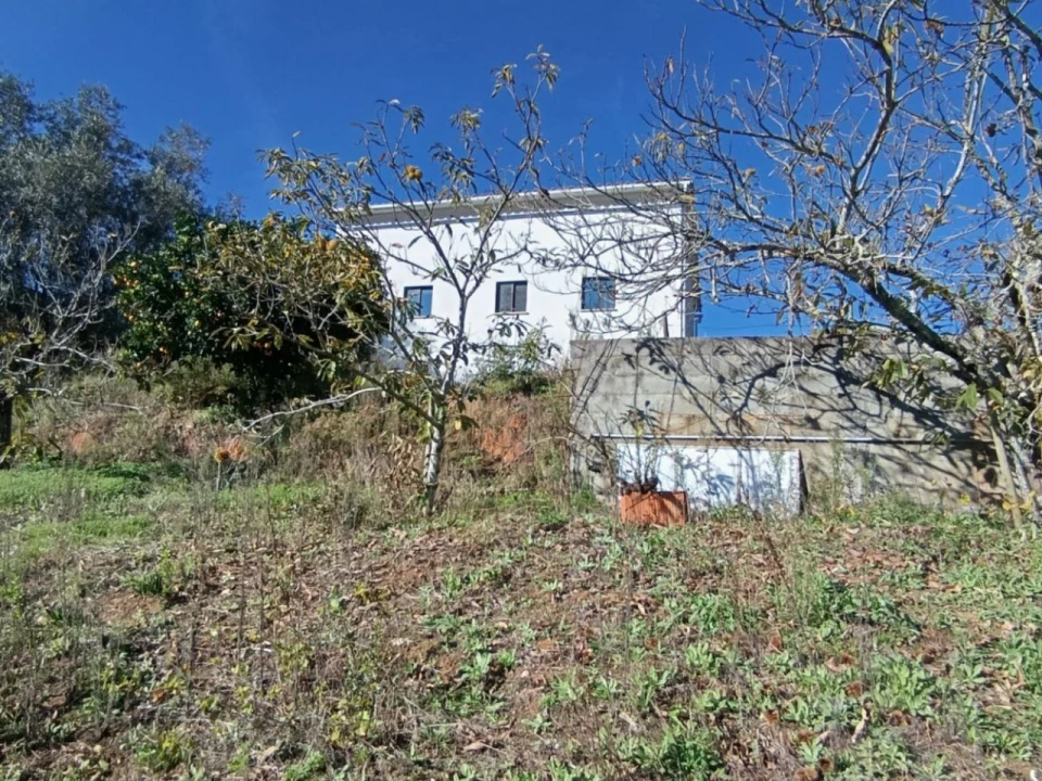 Moradia T2 para Venda em Pelariga Foto 3