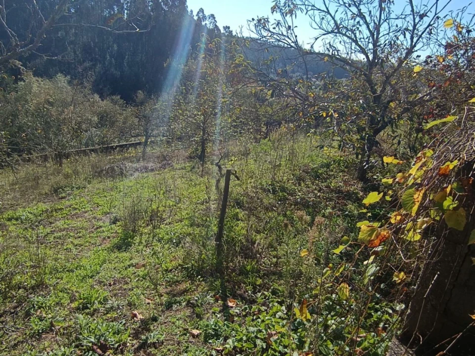 Moradia T2 para Venda em Pelariga Foto 17