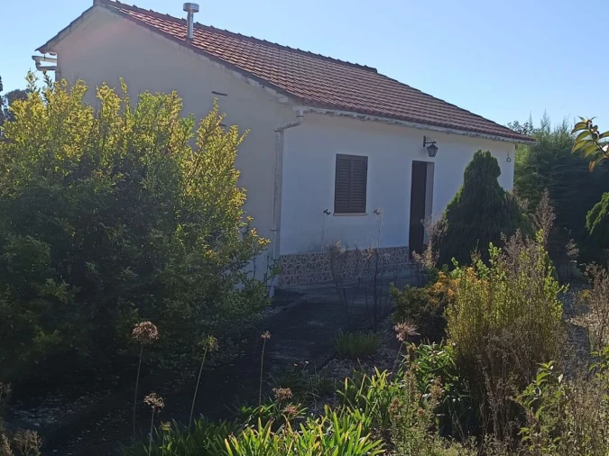 Moradia T2 para Venda em Pelariga Foto 2