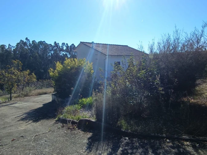 Moradia T2 para Venda em Pelariga Foto 5