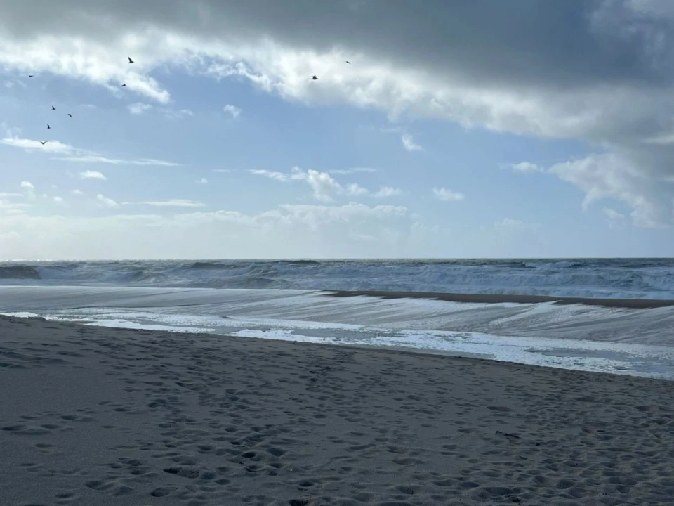 Terreno P/ Prédio para Venda em Gafanha da Boa Hora Foto 8