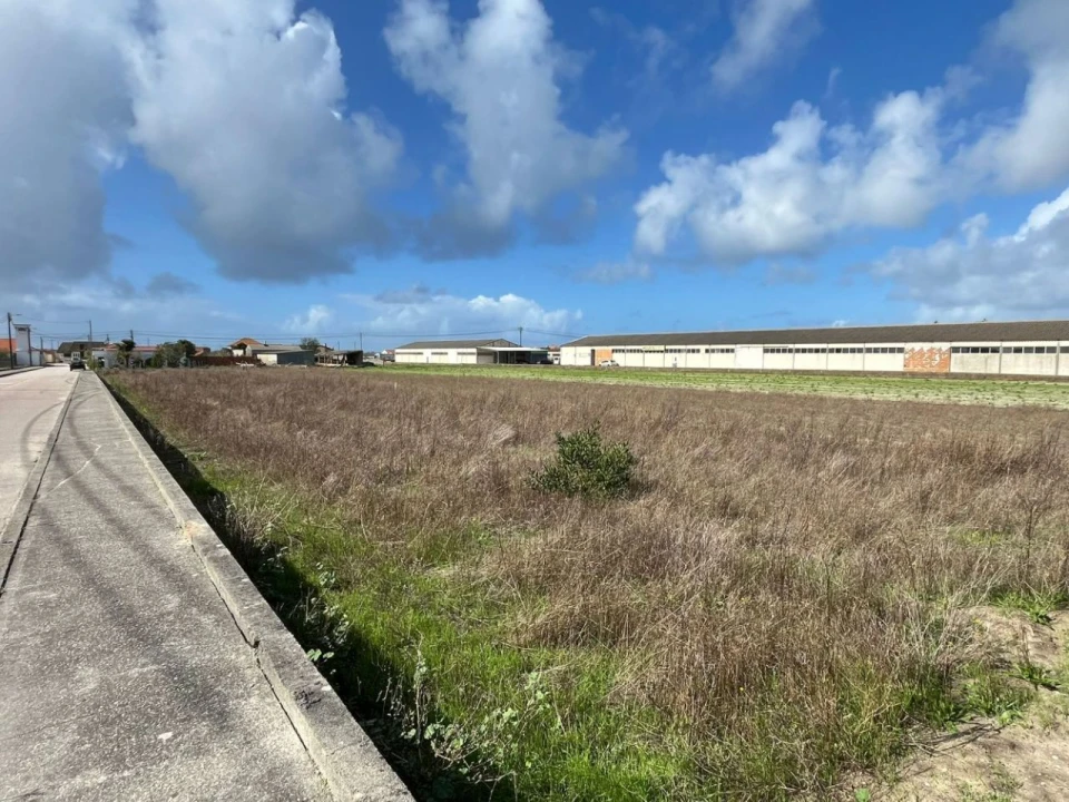 Terreno P/ Prédio para Venda em Gafanha da Boa Hora Foto 9