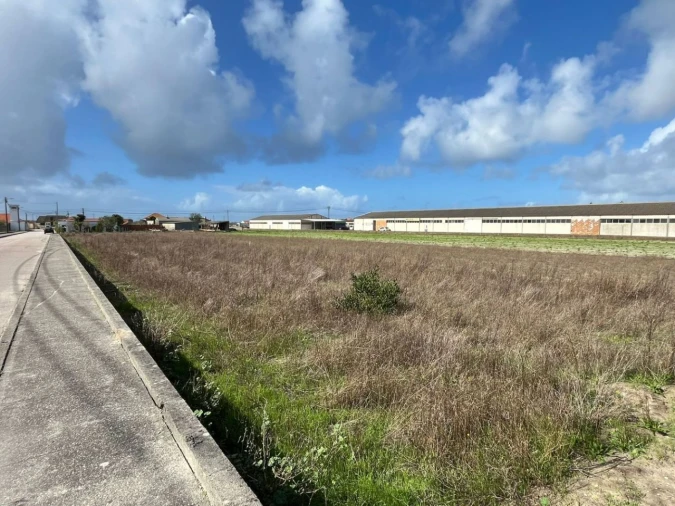 Terreno P/ Prédio para Venda em Gafanha da Boa Hora Foto 9