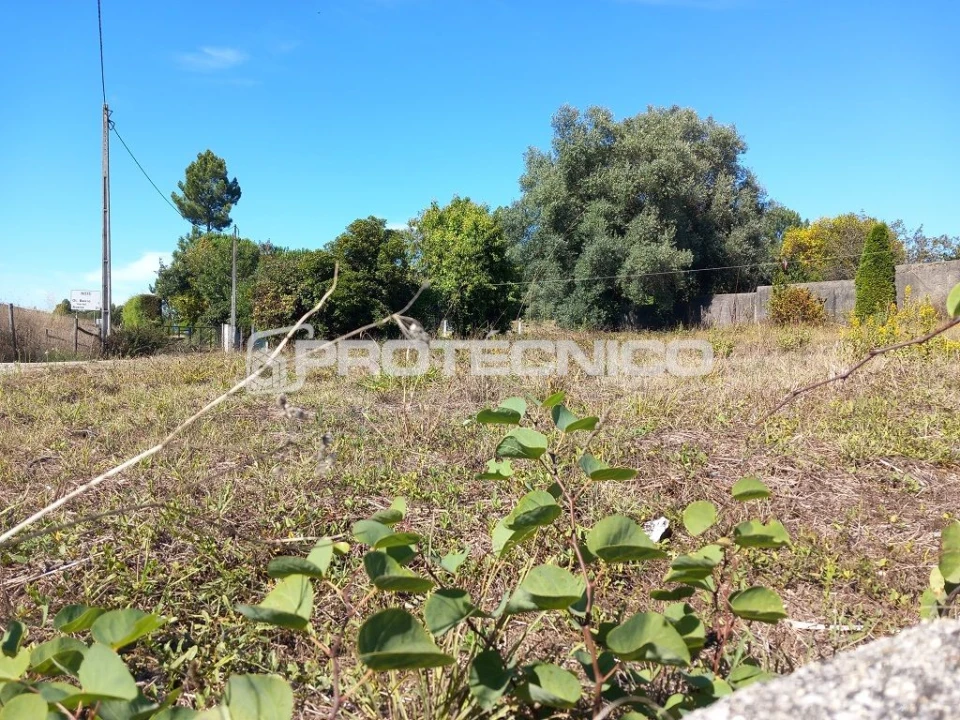 Terreno para Venda em Oliveira do Bairro Foto 2