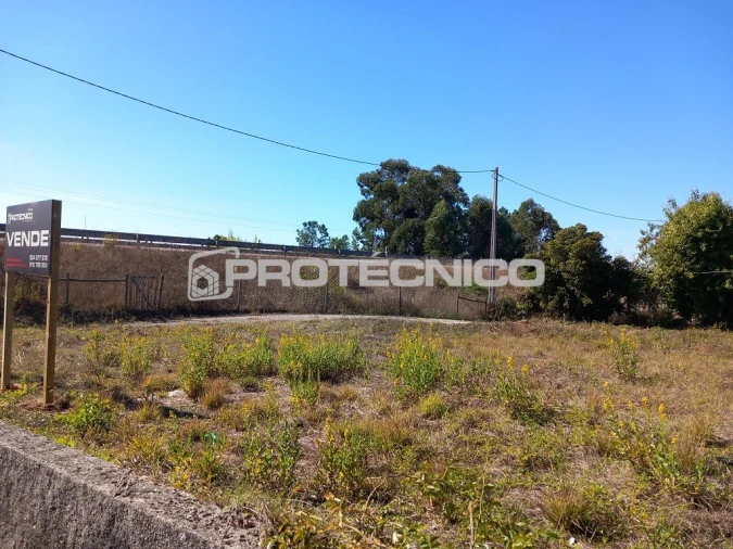 Terreno para Venda em Oliveira do Bairro Foto 4