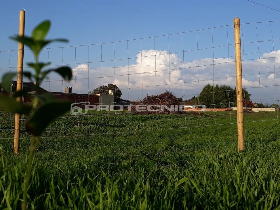 Terreno para Venda em Sarrazola Foto 1