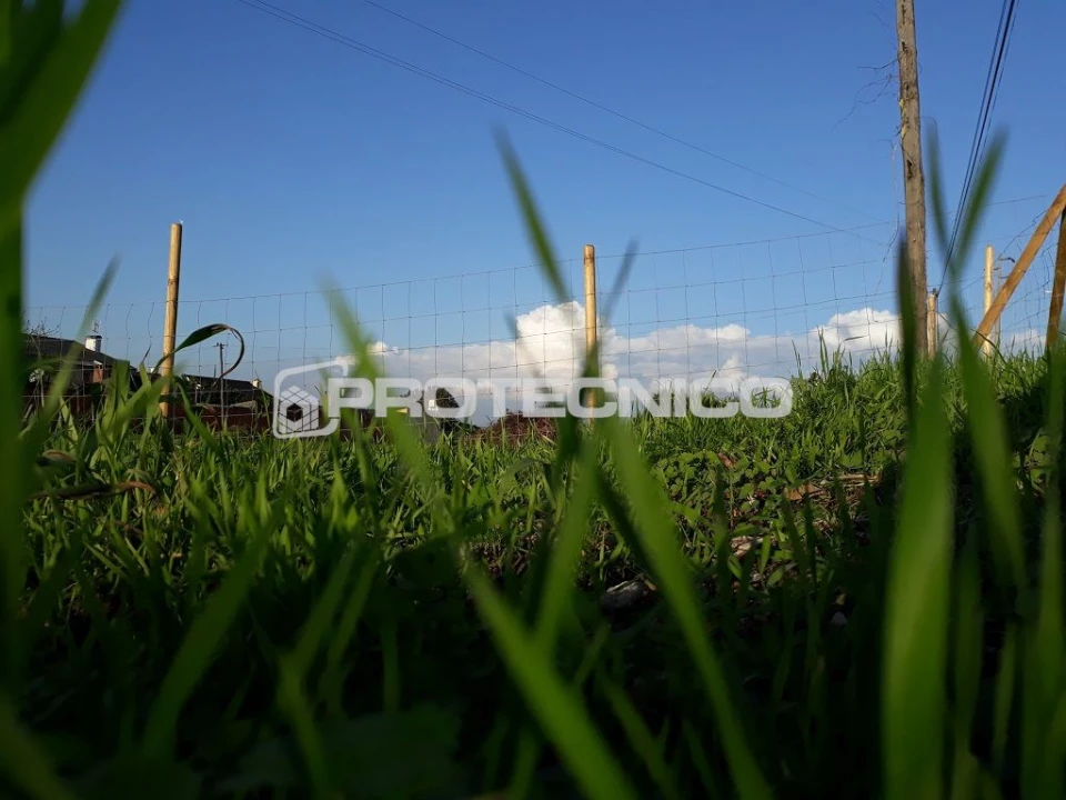 Terreno para Venda em Sarrazola Foto 3
