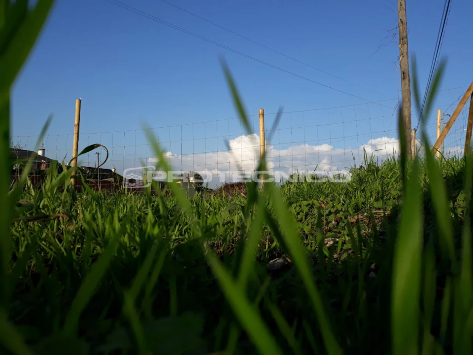 Terreno para Venda em Sarrazola Foto 6