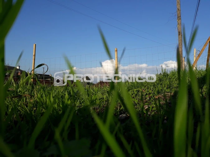Terreno para Venda em Sarrazola Foto 3