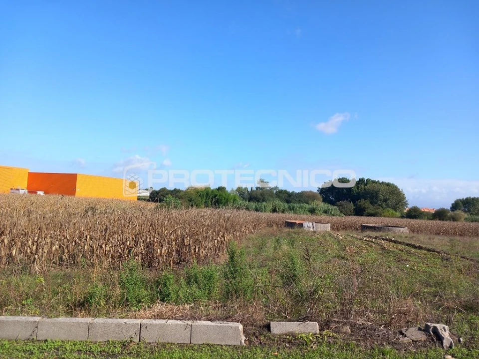 Terreno para Venda em Oliveirinha Foto 5