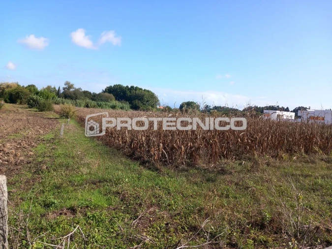 Terreno para Venda em Oliveirinha Foto 6