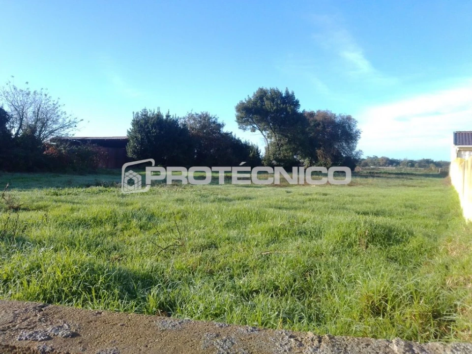 Terreno para Venda em Sarrazola Foto 6