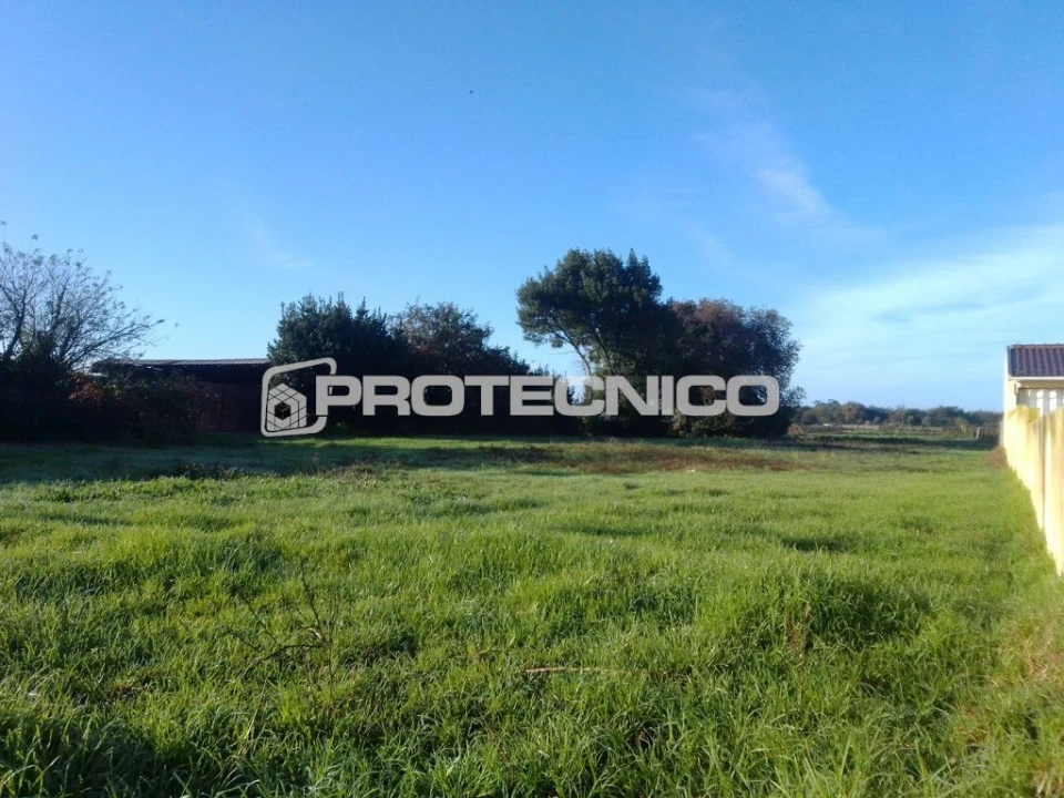 Terreno para Venda em Sarrazola Foto 7