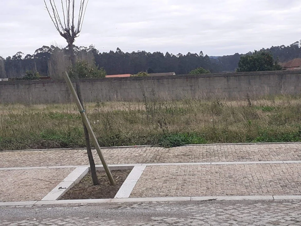 Terreno para Venda em Gião Foto 2