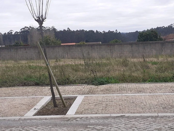 Terreno para Venda em Gião Foto 2