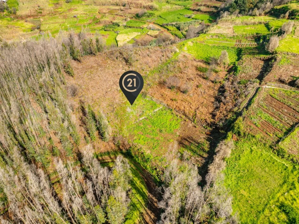 Terreno para Venda em Achada do Crasto Foto 9
