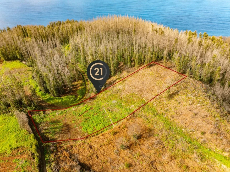 Terreno para Venda em Achada do Crasto Foto 11