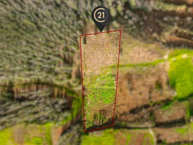 Terreno para Venda em Achada do Crasto Foto 12