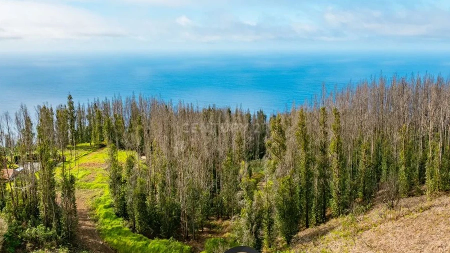 Terreno para Venda em Achada do Crasto