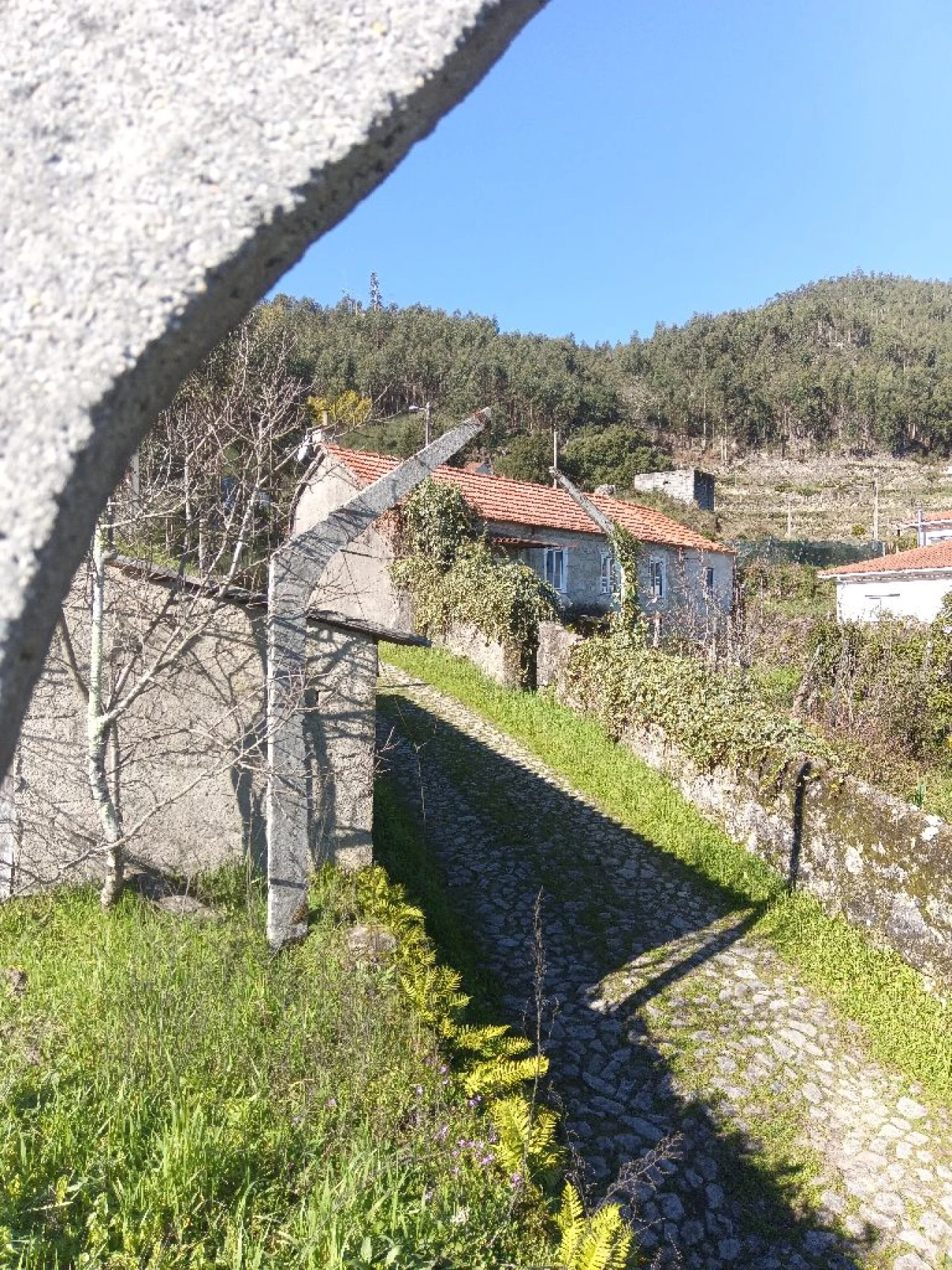 Quinta T3 para Venda em Lugar do Castelo Foto 20