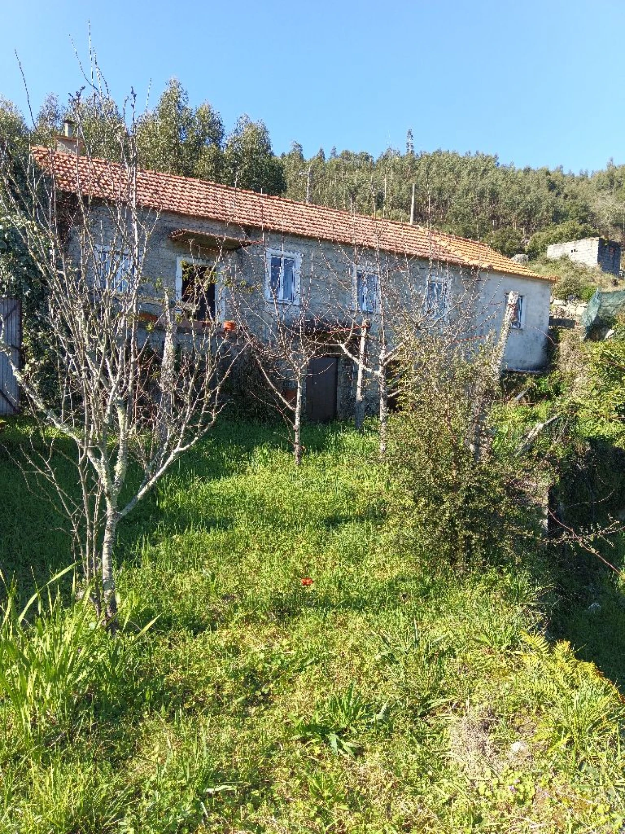 Quinta T3 para Venda em Lugar do Castelo Foto 43