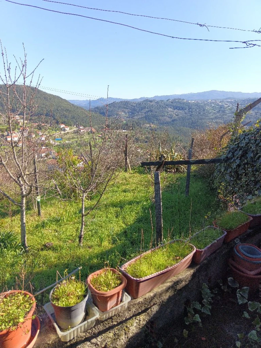 Quinta T3 para Venda em Lugar do Castelo Foto 15