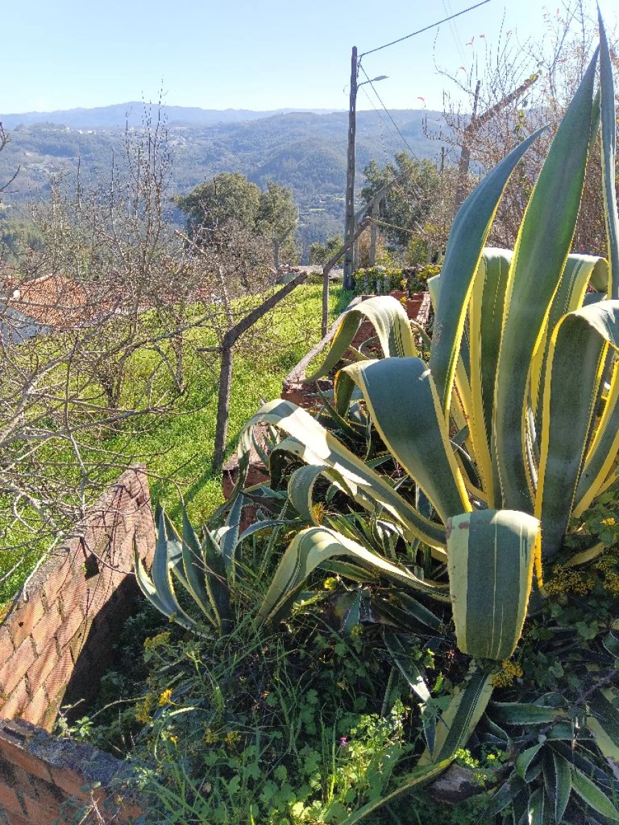 Quinta T3 para Venda em Lugar do Castelo Foto 39