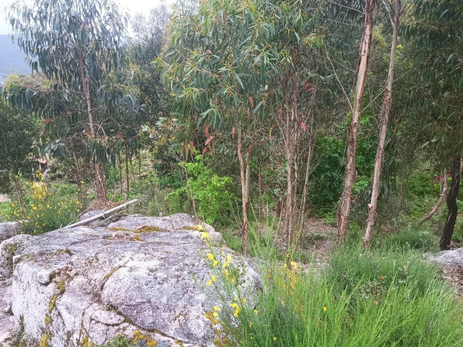 Quinta T3 para Venda em Lugar do Castelo Foto 47