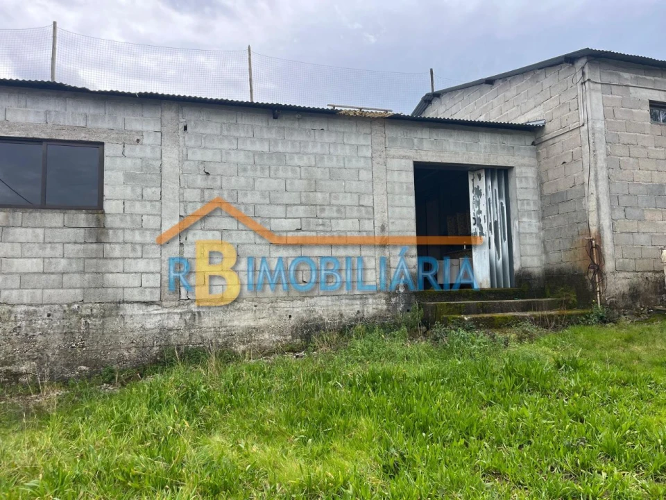 Armazém para Venda em Vila Viçosa Foto 7