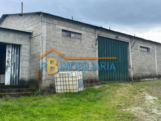 Armazém para Venda em Vila Viçosa Foto 5