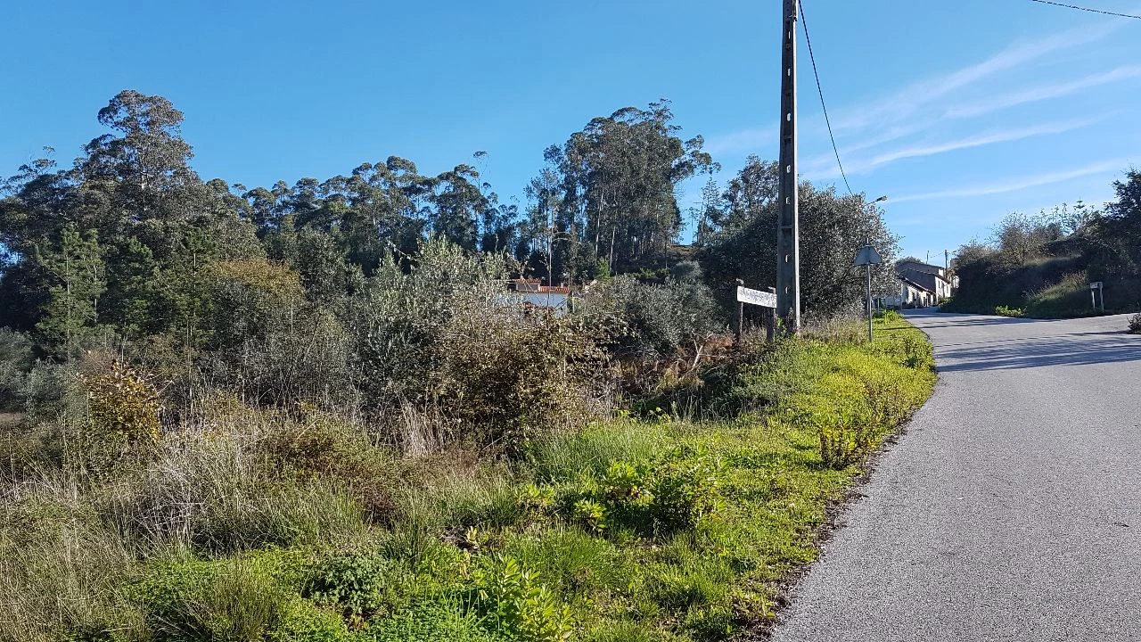 Terreno para Venda em Montes de Verigo Foto 1