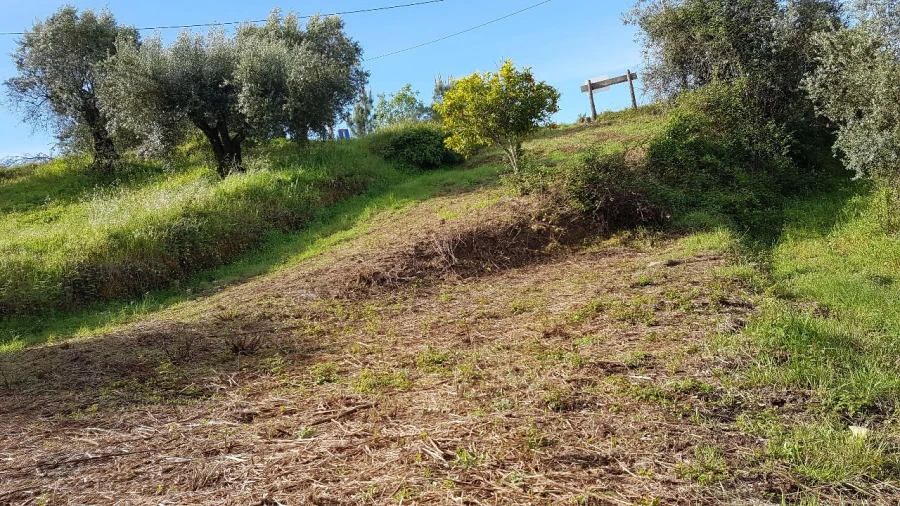 Terreno para Venda em Montes de Verigo Foto 3
