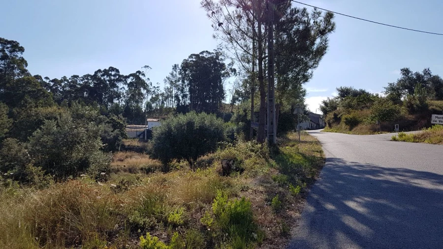 Terreno para Venda em Montes de Verigo Foto 6