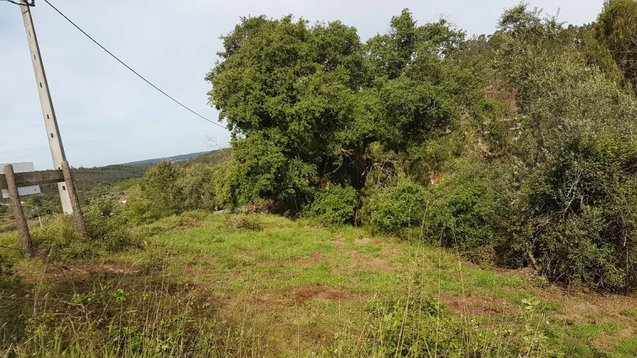 Terreno para Venda em Montes de Verigo Foto 7