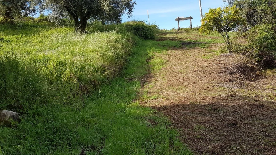 Terreno para Venda em Montes de Verigo Foto 8